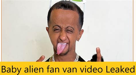 internet chicks fan van